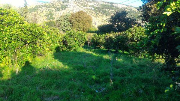 Terreno agricolo viale sandro pertini, san filippo neri, palermo