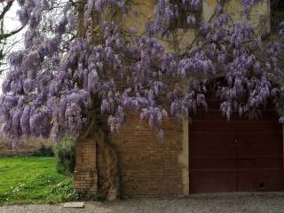 parco piantumato