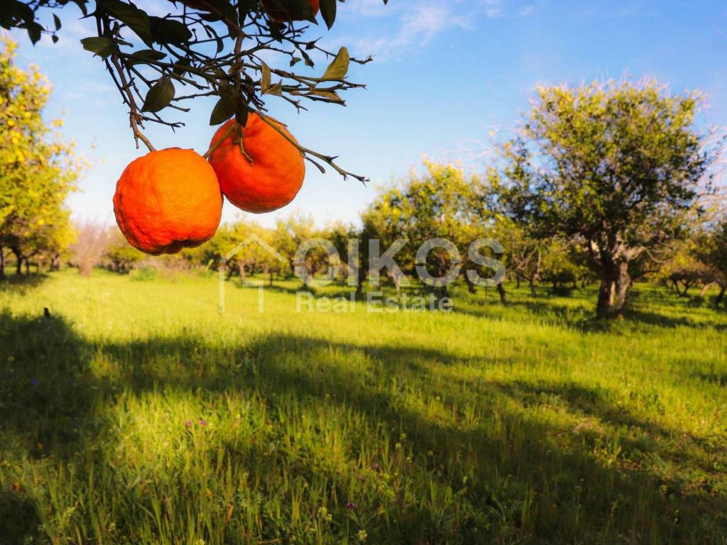 Antico casale in collina 06