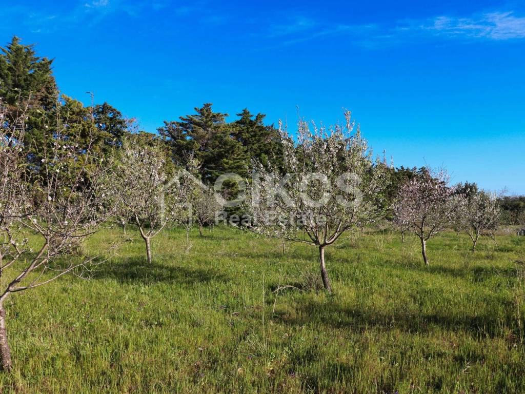 Antico casale in collina 12