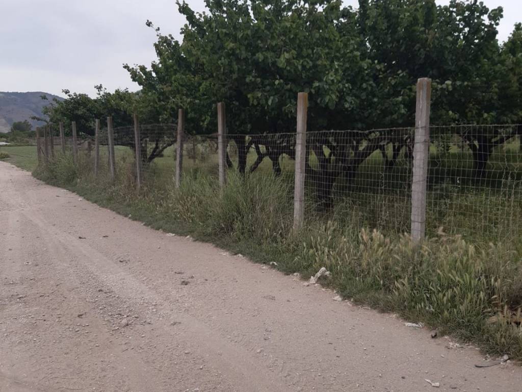terreno