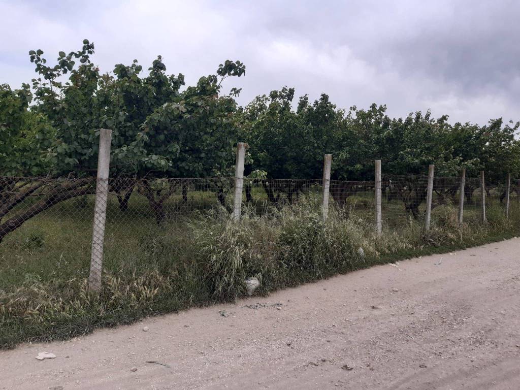 terreno