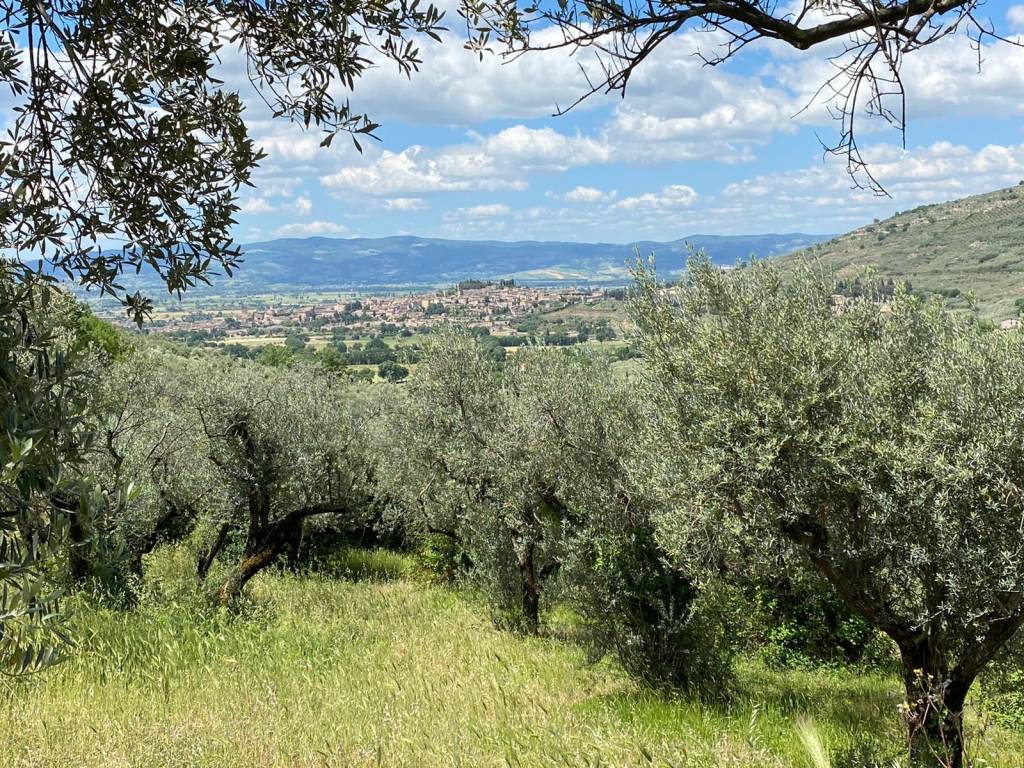 Terreno agricolo via delle palombe, spello