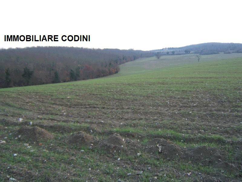 collina