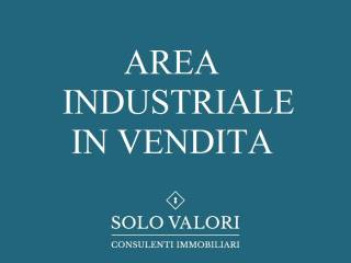 solo valori cartelli web def37
