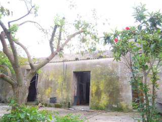 Foto10