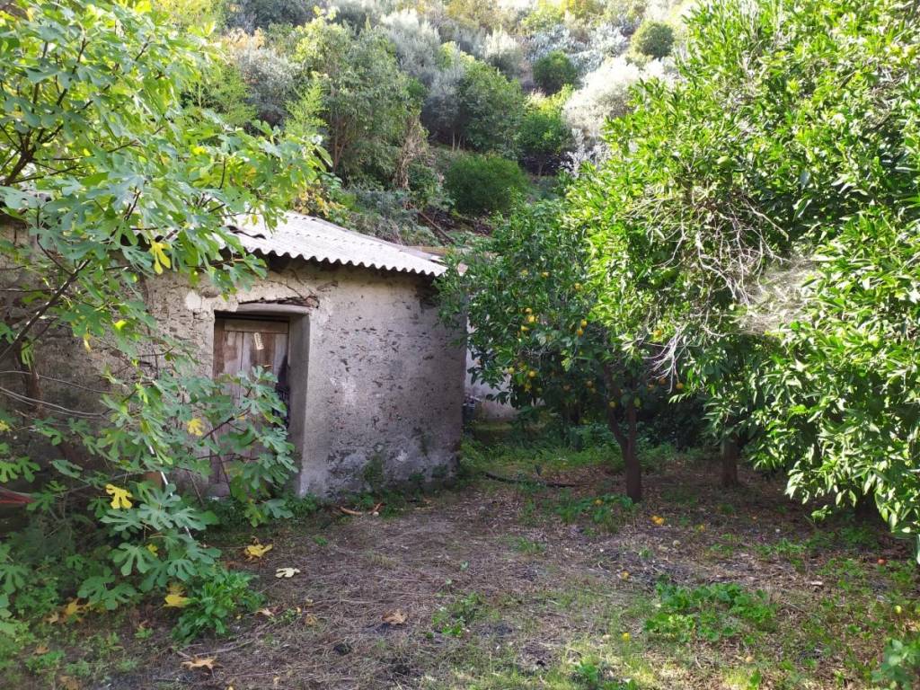 Terreno agricolo con rudere - 1