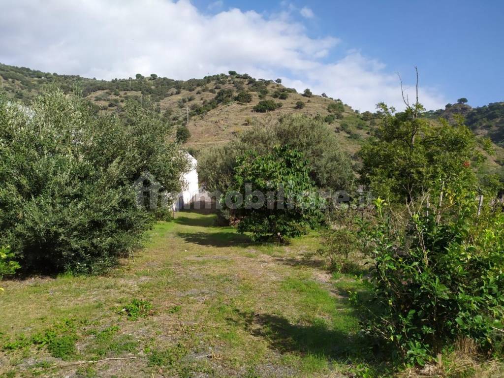 Terreno agricolo con rudere - 3