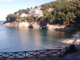 Foto - Vendita villa con giardino, Vieste, Gargano