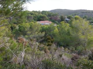 Foto - Vendita Rustico / Casale da ristrutturare, Carloforte, Sulcis