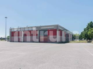 Sv_UD-BUT-1132428_1132428_