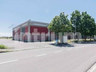 Sv_UD-BUT-1132428_1132428_-14