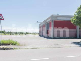 Sv_UD-BUT-1132428_1132428_-16