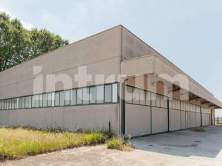 Sv_RO-CAL-1097299_1097299_