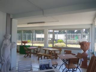reale