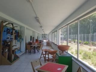 reale