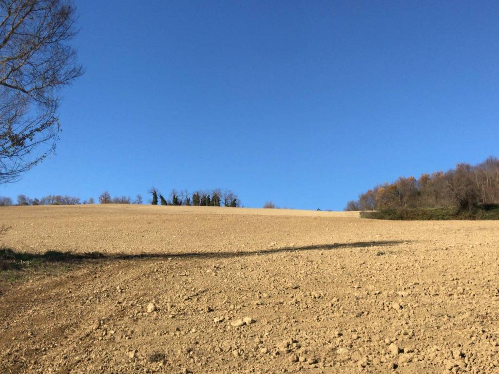 Terreno agricolo via monte sasso 4771, mercato saraceno