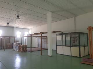 reale