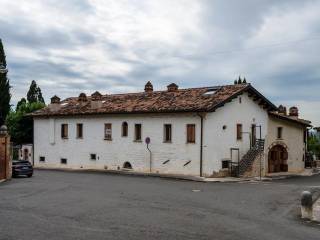 Zona