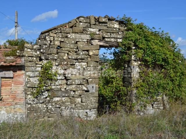 CASA COLONICA ISOLATA