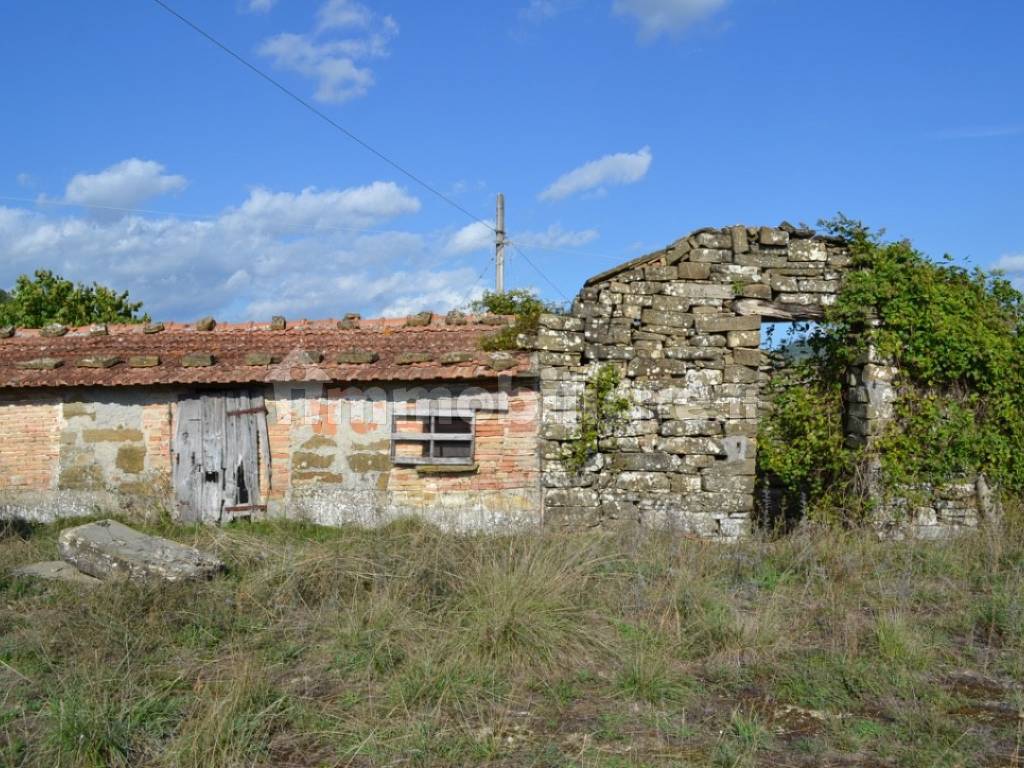 CASA COLONICA ISOLATA