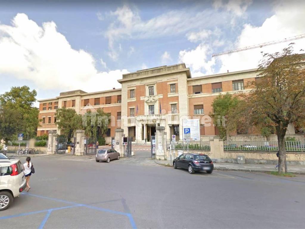affitto biciclette san rossore