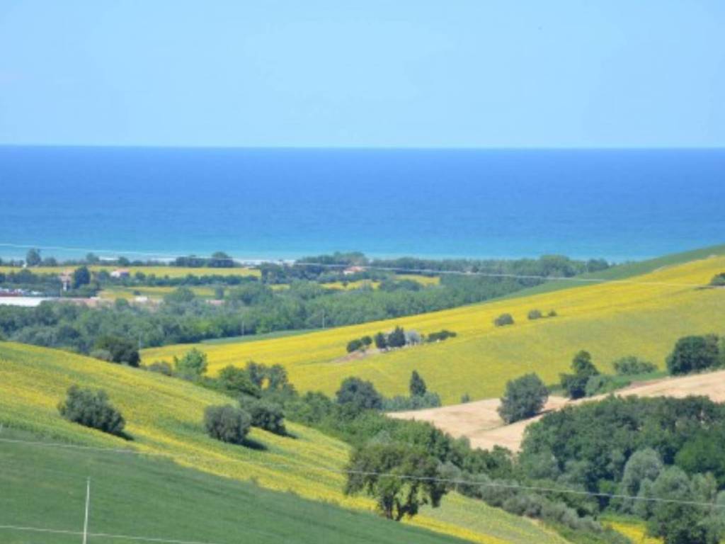 Terreno agricolo strada della donnella 110, scapezzano, cannella, roncitelli, senigallia