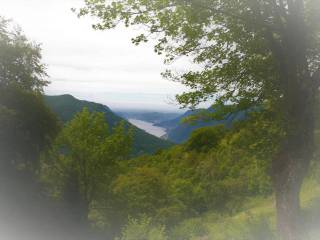 Vista
