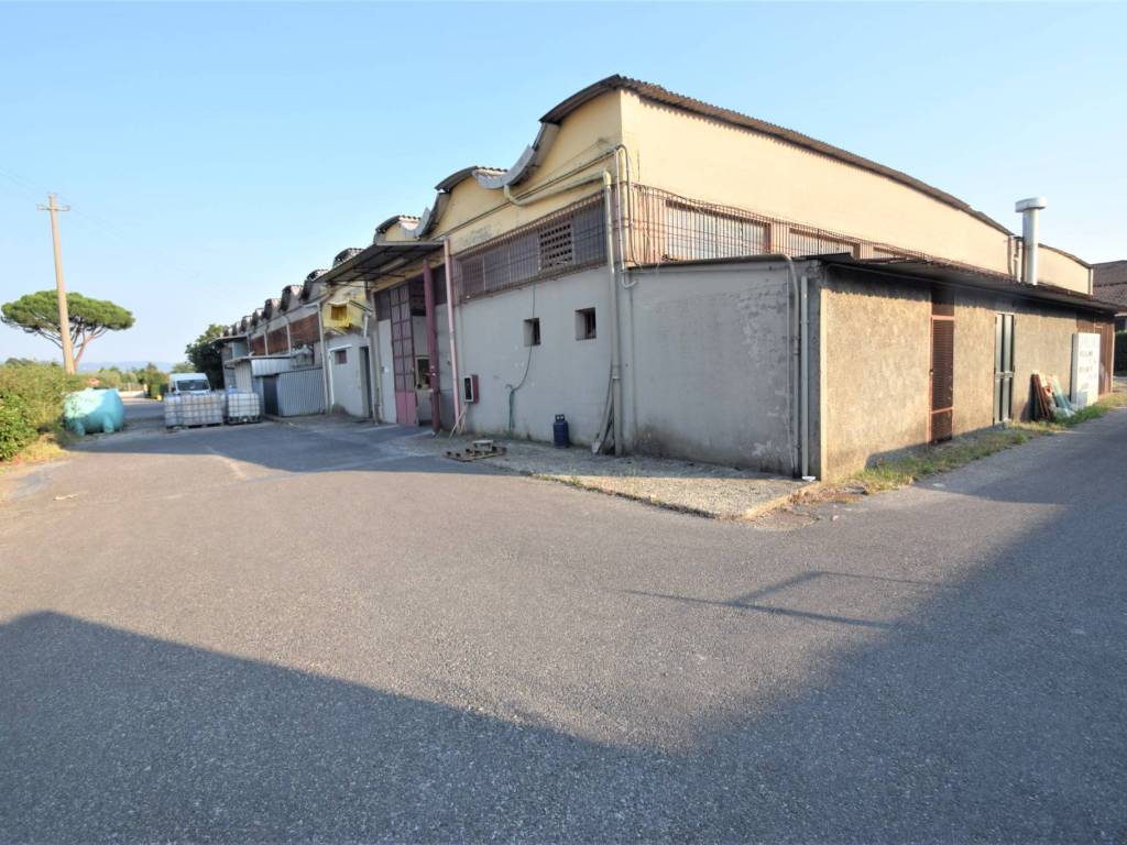 Capannone via ponte monsummano, centro, pieve a nievole