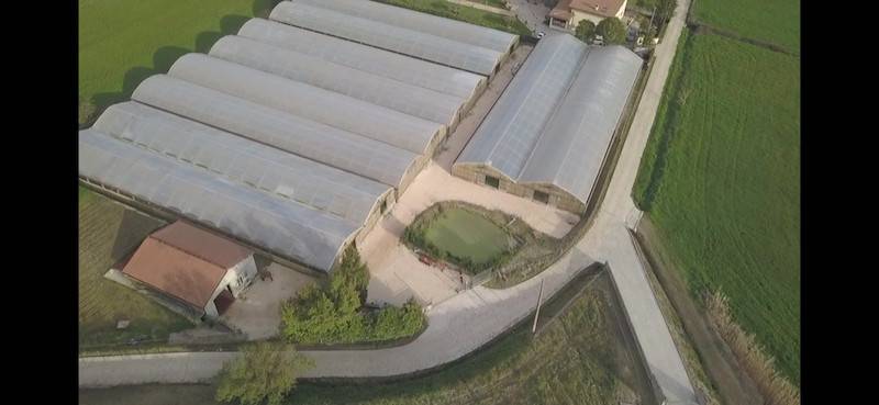 Terreno agricolo strada provinciale villamagna, anagni