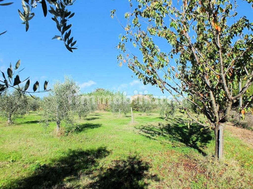 Foto 8