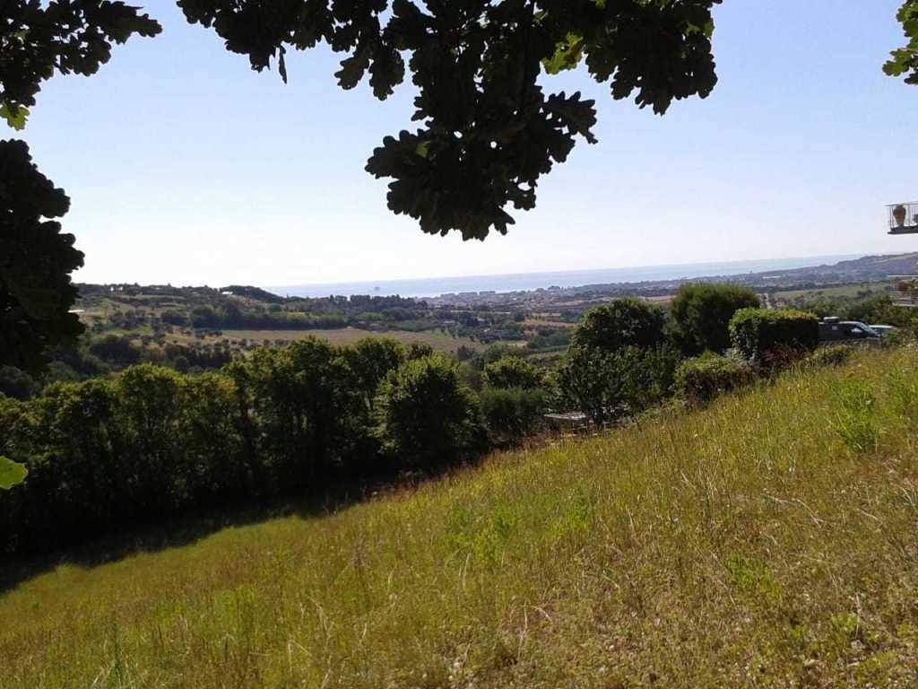 Terreno agricolo contrada san savino, civitanova alta, civitanova marche