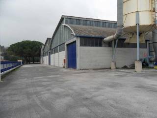 Affitto capannone PortCapannone Porto Sant'Elpidio