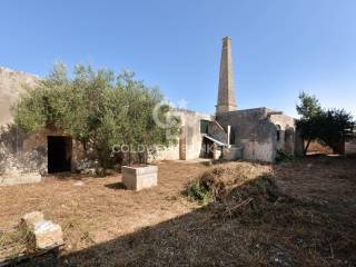 giardino interno 