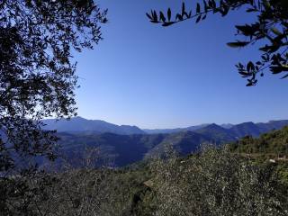 vista sulle alpi marittime