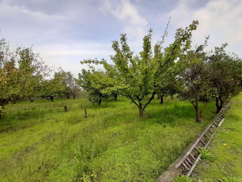 Terreno agricolo via allocca, somma vesuviana