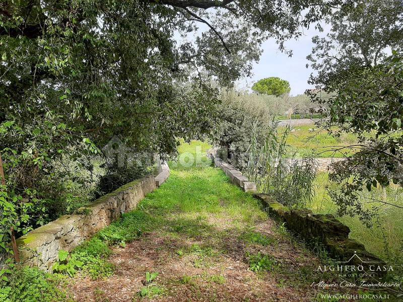 Ponte su rio Calabona