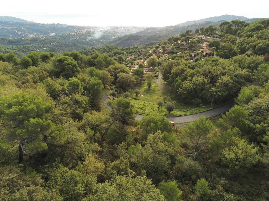 Terreno agricolo località merea, merea, diano arentino