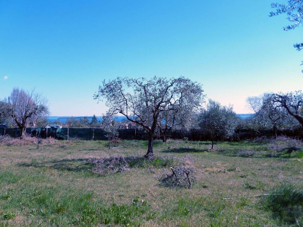 Terreno agricolo via madonna, moniga del garda