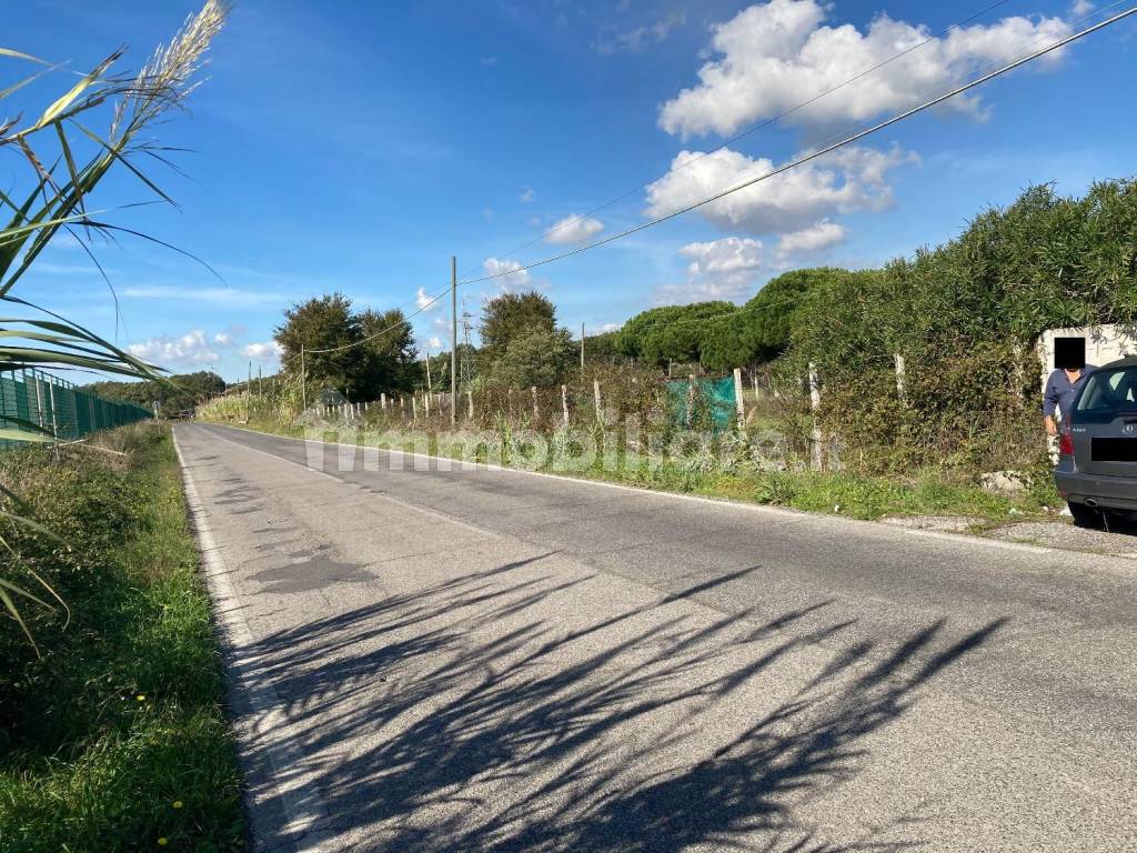 Fronte Stradale terreno (verso Nettuno)