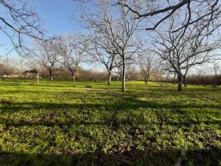 IMG-20201214-WA0007