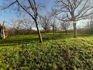 IMG-20201214-WA0009